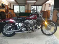 Harley-Davidson FXST 1340 Softail 1985 74688 Thumb