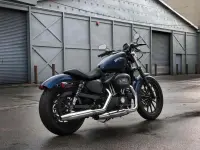 2012 Harley-Davidson XL883N Sportster Iron 883 - photo 2