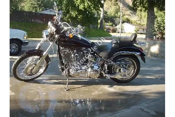 2001 Harley-Davidson Softail Deuce Injection