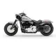 Harley-Davidson Softail Slim 2021 45878 Thumb