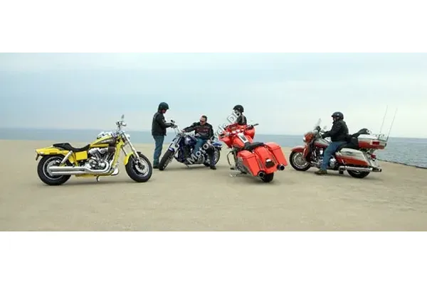2009 Harley-Davidson FXDFSE CVO Dyna Fat Bob