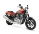 Harley-Davidson XR1200 2010 5390 Thumb