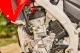 2027 Honda CRF250R - photo 6