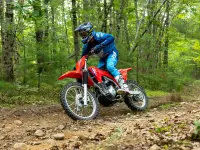 CRF300F 2026 71248 Thumb