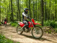 CRF300F 2026 71249 Thumb