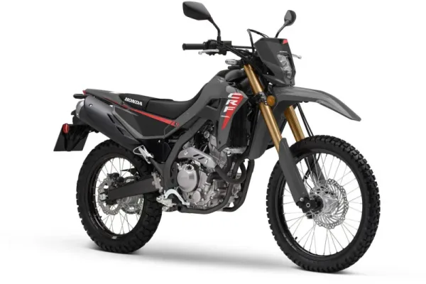 2025 Honda CRF300LS