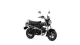 2027 Honda Dax 125 - photo 2