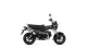 2027 Honda Dax 125 - photo 3