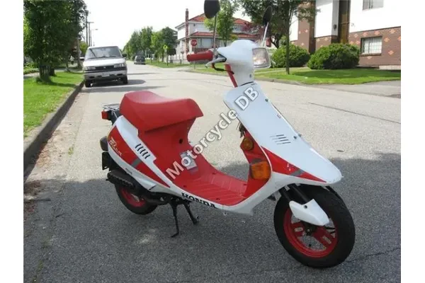 1988 Honda Elite SA 50