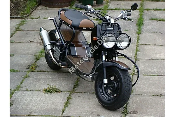 2009 Honda Ruckus