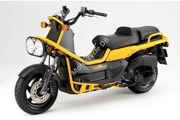 2010 Honda Ruckus