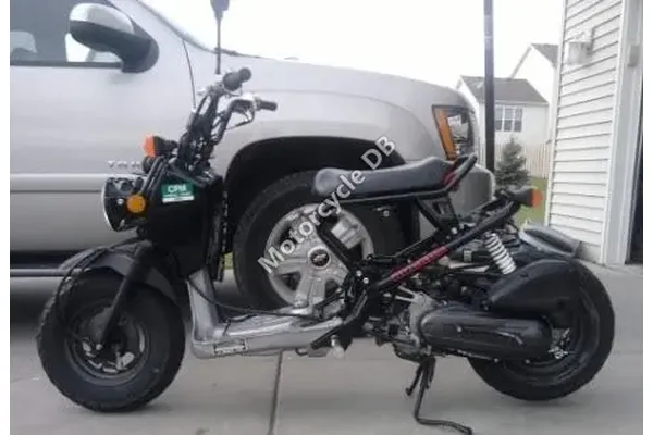 2005 Honda Ruckus