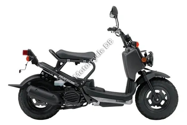2012 Honda Ruckus