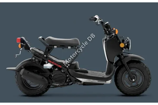 2013 Honda Ruckus