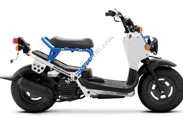 2023 Honda Ruckus