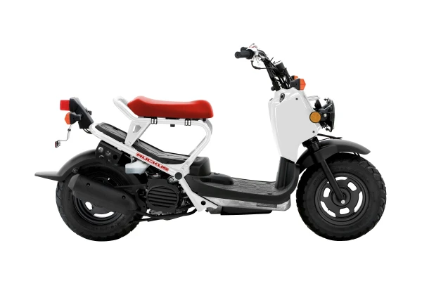2020 Honda Ruckus