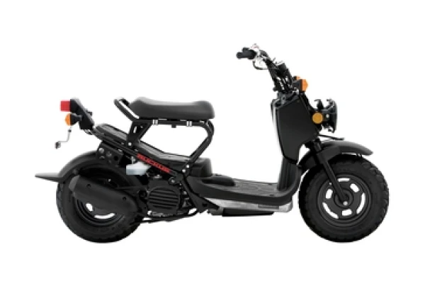 2019 Honda Ruckus