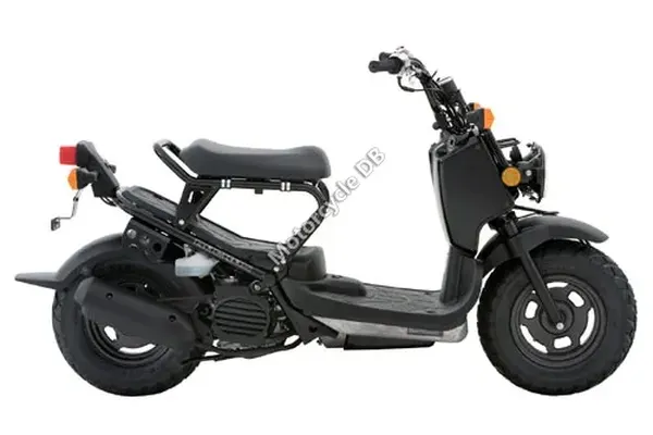 2007 Honda Ruckus