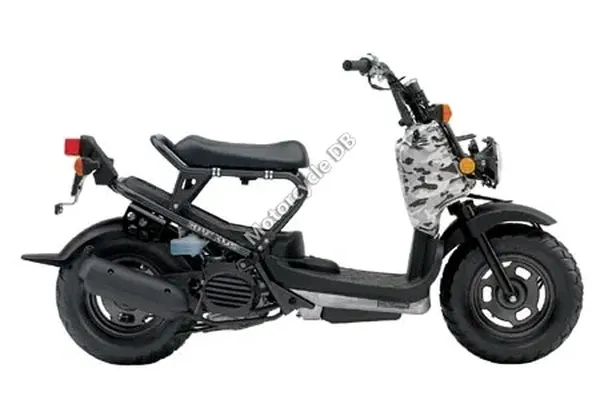 2006 Honda Ruckus