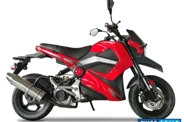 2025 Ice Bear Evader 50