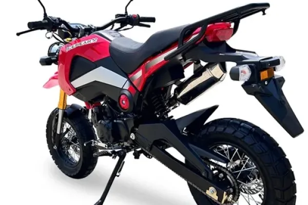 2025 Ice Bear Rogue ADV 125
