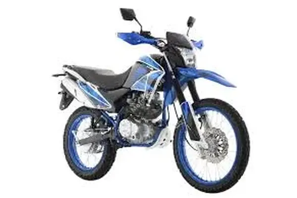 2023 Italika DM250X