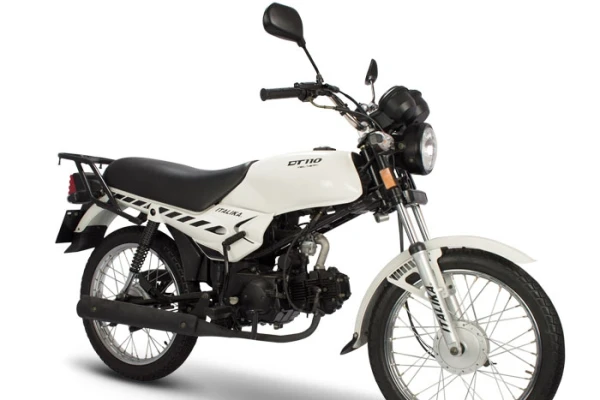 2021 Italika DT 110 Delivery