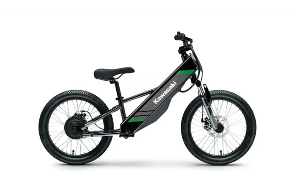 2026 Kawasaki Elektrode