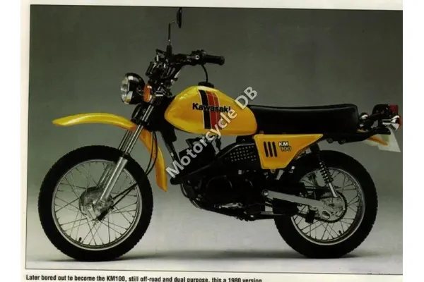 1980 Kawasaki KM 100