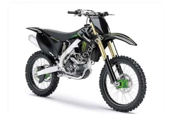 2009 Kawasaki KX100 Monster Energy