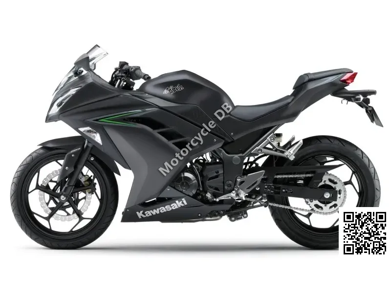 Kawasaki Ninja  300 2015 29025