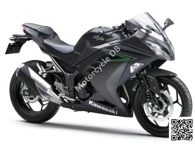 Kawasaki Ninja  300 2015 29026