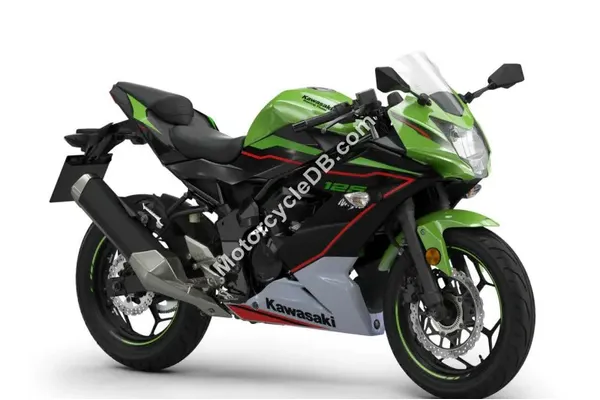 2022 Kawasaki Ninja 125 Performance
