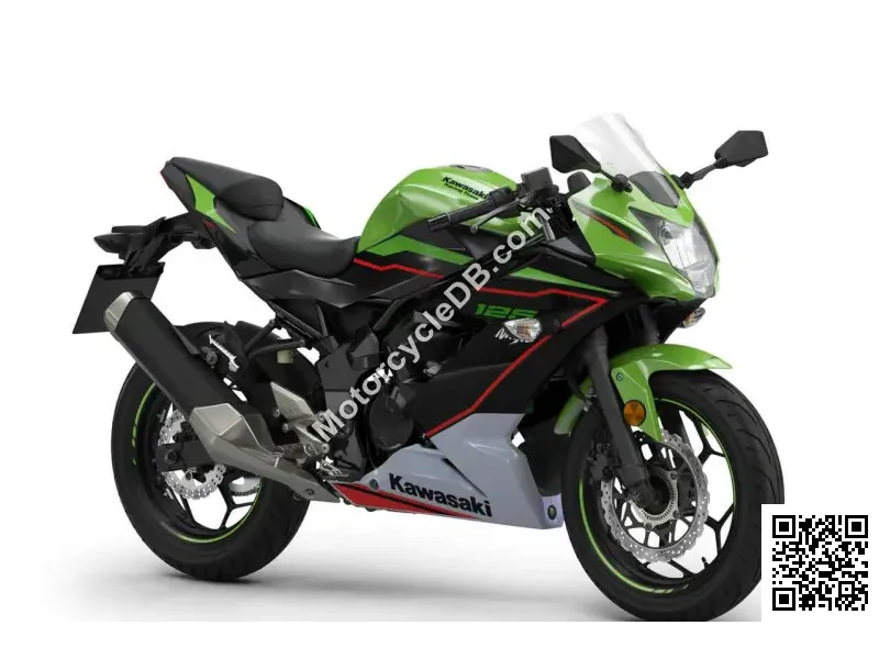 Kawasaki Ninja 125 Performance 2022 44465