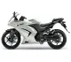 Kawasaki Ninja 250R 2012 38965 Thumb