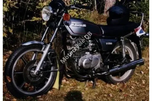 1982 Kawasaki Z 250 J