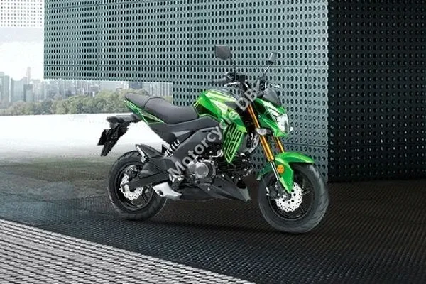 2023 Kawasaki Z125 Pro