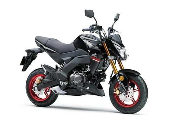 2021 Kawasaki Z125 Pro