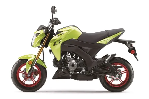 2026 Kawasaki Z125 Pro