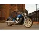 2007 Kawasaki Vulcan 900 Custom - photo 4