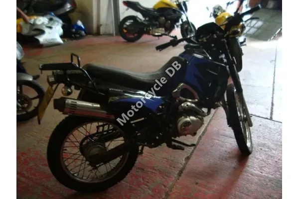 2010 Kinroad XT125