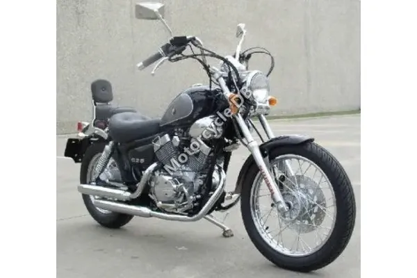 2008 Lifan Delta 250 V Twin