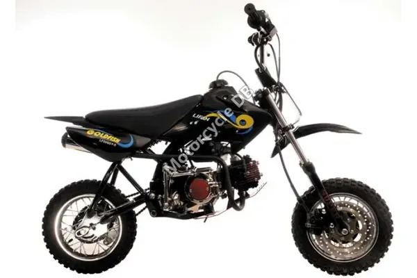 2011 Lifan Goldfish 50