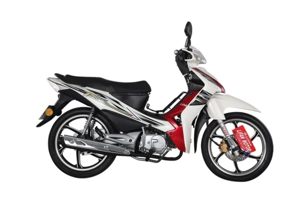 2020 Lifan PK110F