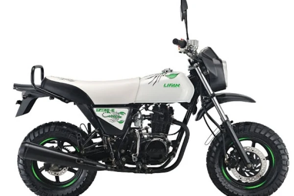 2020 Lifan Pony 100
