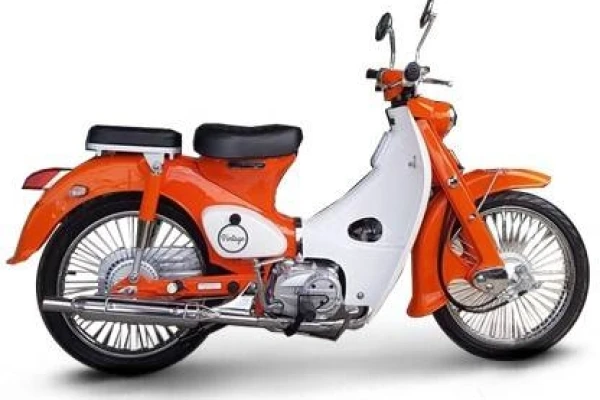 2020 Lifan Vintage