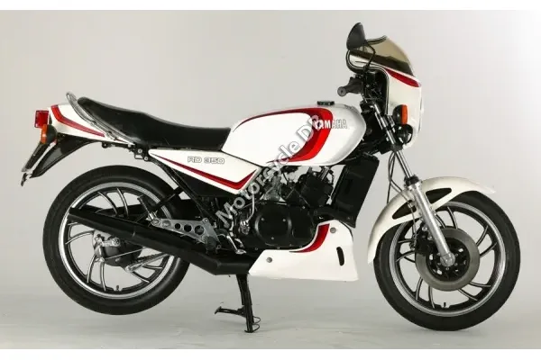 1981 MV Agusta 1100 Grand Prix