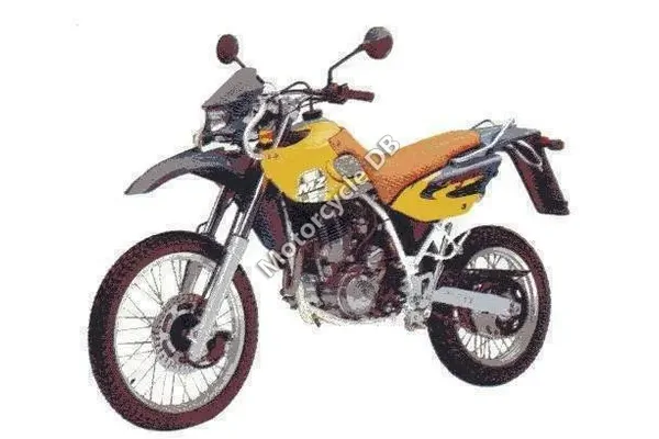 2006 MZ Baghira Black Panther