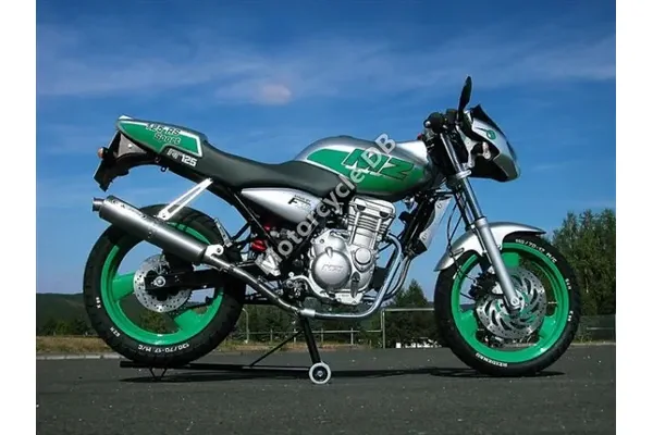 2009 MZ RT-Striker