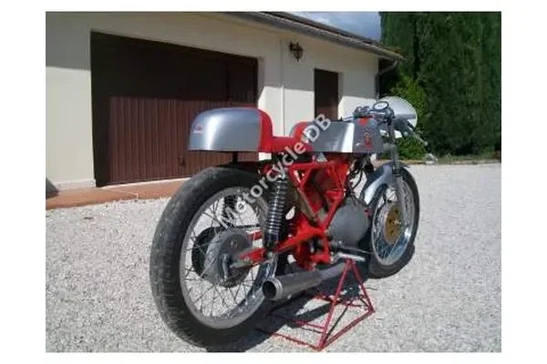 2011 Motobi Zanzani 250 6 Tiranti